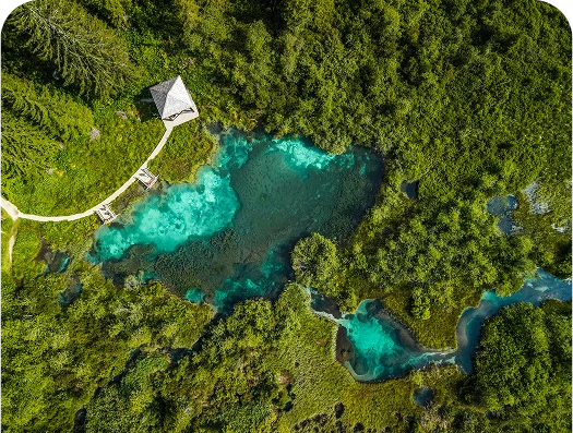 Zelenci
